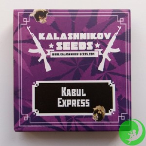 Семена конопли Kabul Express Feminised  (Kalashnikov Seeds)
